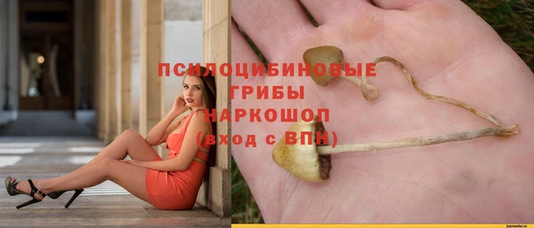 ГАЛЛЮЦИНОГЕННЫЕ ГРИБЫ Арсеньев