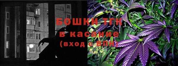 ГАЛЛЮЦИНОГЕННЫЕ ГРИБЫ Арсеньев