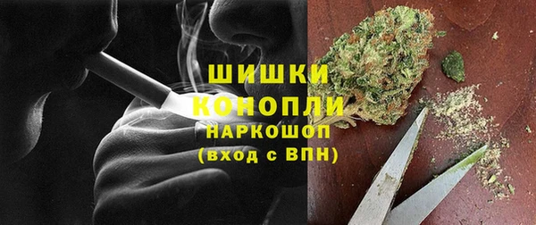 дмт Осташков