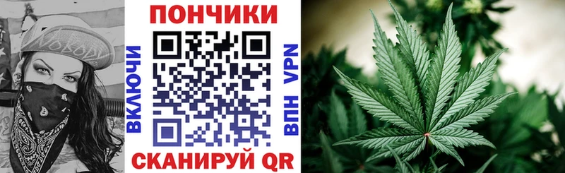 Бошки марихуана SATIVA & INDICA  Сясьстрой 